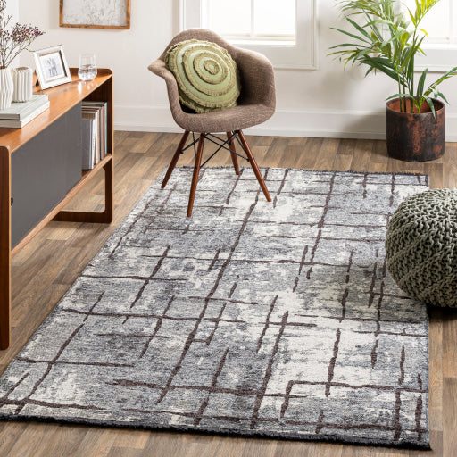 Surya Toscana TCN-2300 Slate Modern  Rug