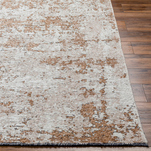 Surya Toscana TCN-2304 Cream Modern  Rug