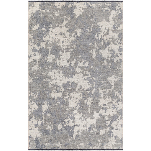 Surya Toscana TCN-2307 Slate Modern  Rug