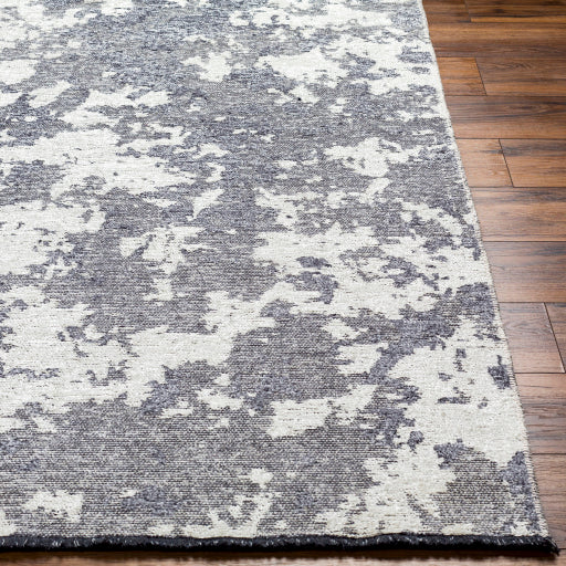 Surya Toscana TCN-2307 Slate Modern  Rug