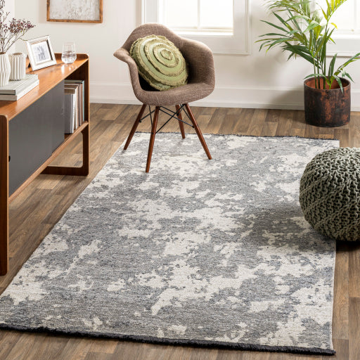 Surya Toscana TCN-2307 Slate Modern  Rug