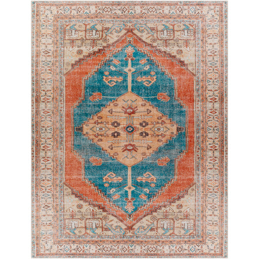 Surya Tahmis THI-2704 Burnt Orange Traditional  Rug