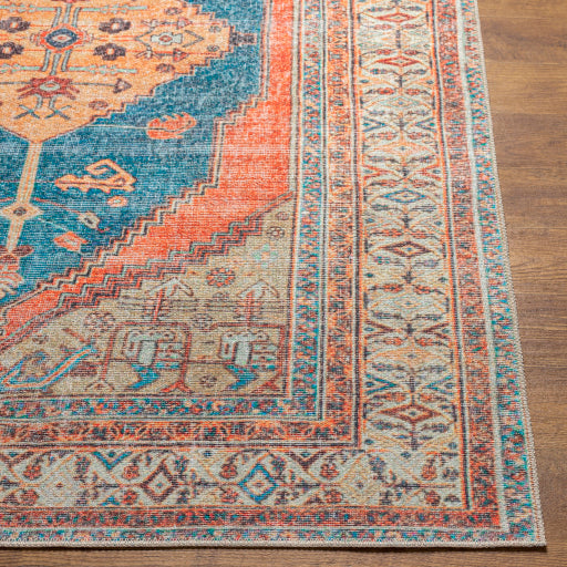 Surya Tahmis THI-2704 Burnt Orange Traditional  Rug