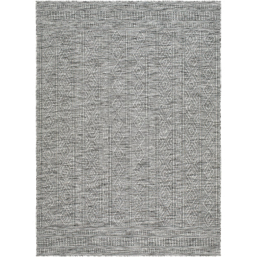 Surya Terrace TRC-2302 Black Global  Rug