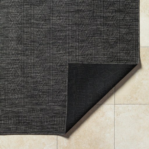 Surya Terrace TRC-2303 Black Global  Rug