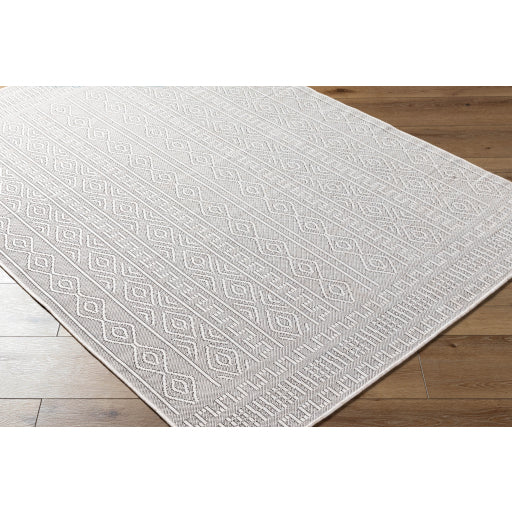 Surya Terrace TRC-2310 Light Beige Global  Rug