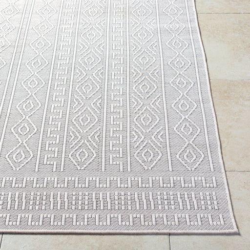 Surya Terrace TRC-2310 Light Beige Global  Rug