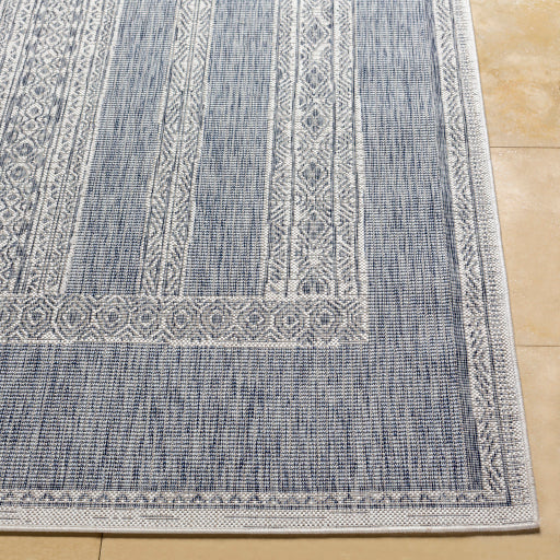 Surya Tuareg TRG-2301 Pale Blue Global  Rug