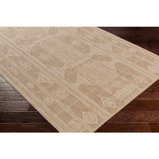 Surya Tuareg TRG-2304 Tan Global  Rug