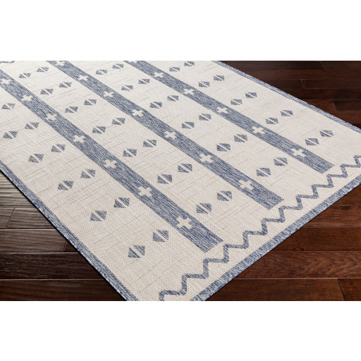 Surya Tuareg TRG-2308 Cream Global  Rug