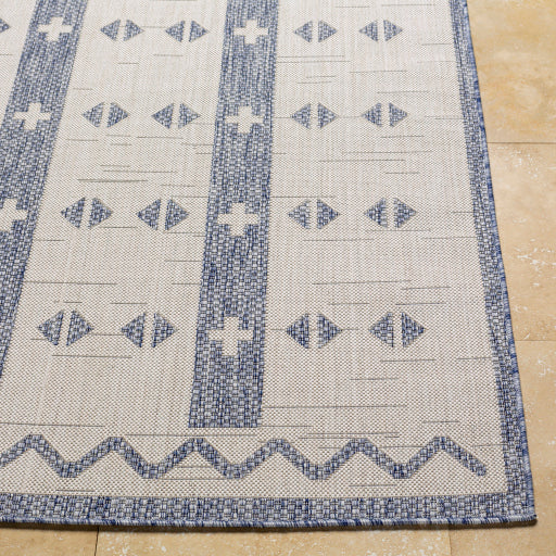 Surya Tuareg TRG-2308 Cream Global  Rug