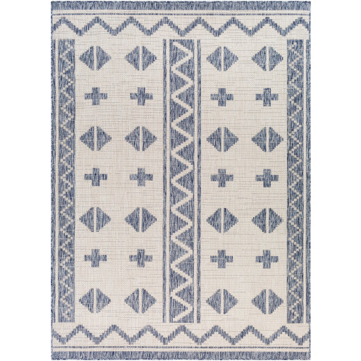 Surya Tuareg TRG-2310 Tan Global  Rug