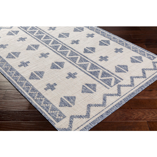 Surya Tuareg TRG-2310 Tan Global  Rug