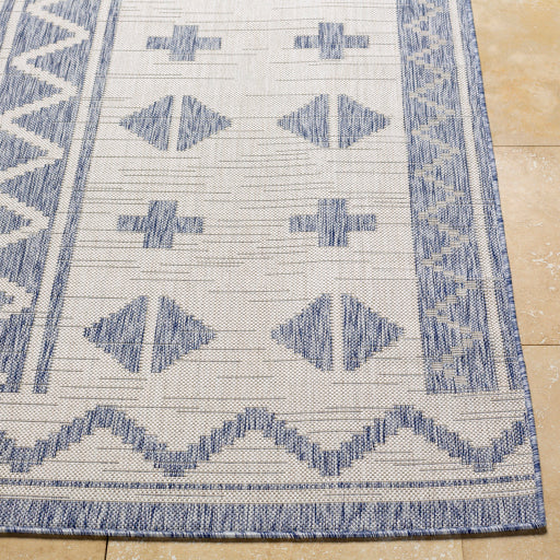 Surya Tuareg TRG-2310 Tan Global  Rug