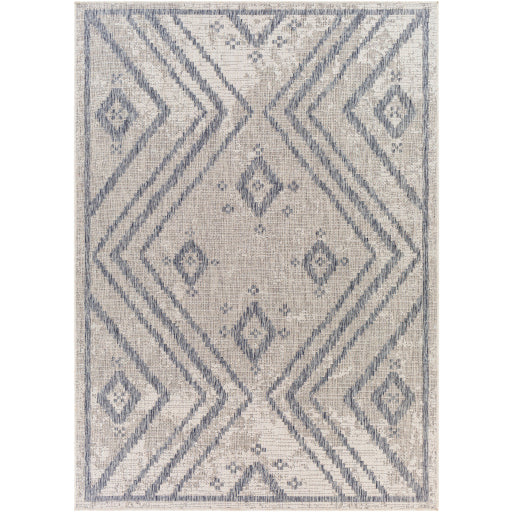 Surya Tuareg TRG-2312 Cream Global  Rug