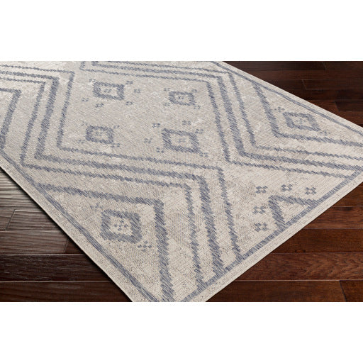 Surya Tuareg TRG-2312 Cream Global  Rug