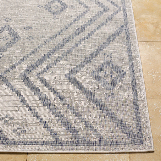 Surya Tuareg TRG-2312 Cream Global  Rug