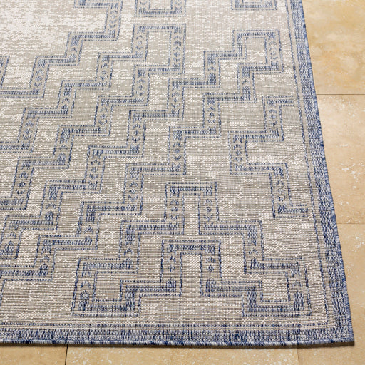 Surya Tuareg TRG-2314 Dark Blue Global  Rug