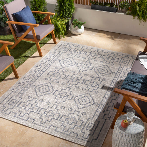 Surya Tuareg TRG-2316 Tan Global  Rug