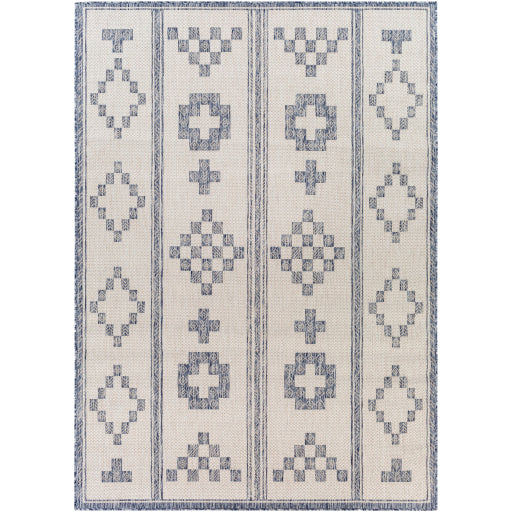 Surya Tuareg TRG-2318 Tan Global  Rug