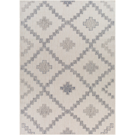 Surya Tuareg TRG-2324 Off-White Rustic  Rug