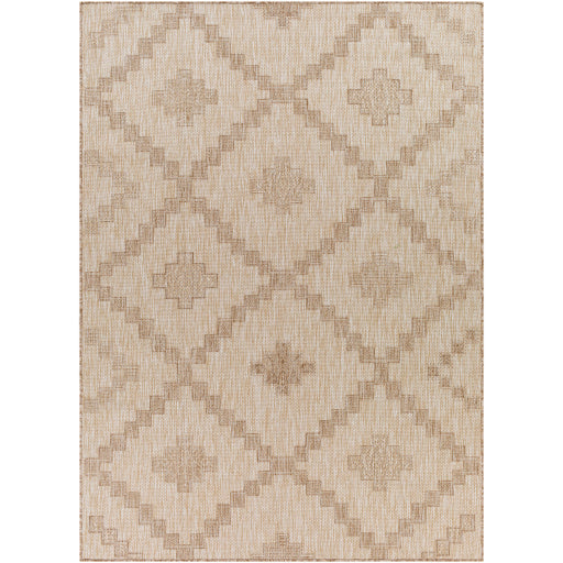 Surya Tuareg TRG-2325 Off-White Rustic  Rug