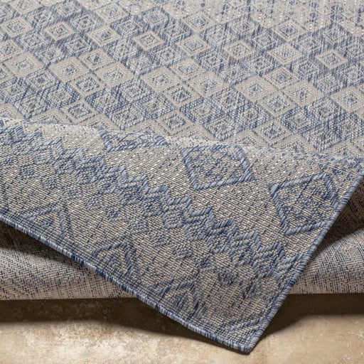 Surya Tuareg TRG-2327 Pale Blue Global  Rug