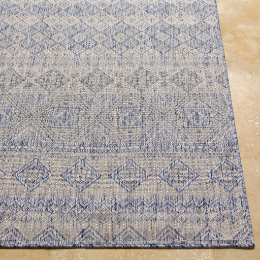 Surya Tuareg TRG-2327 Pale Blue Global  Rug