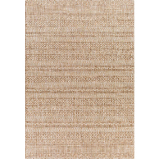 Surya Tuareg TRG-2328 Light Beige Global  Rug