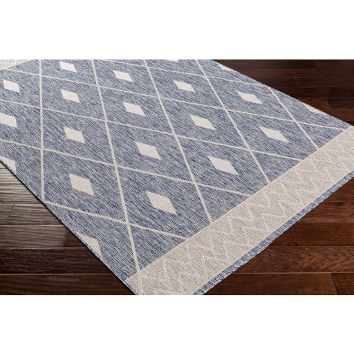 Surya Tuareg TRG-2334 Pale Blue Global  Rug