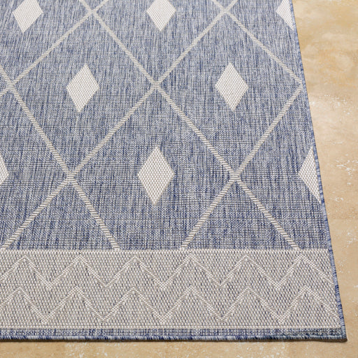 Surya Tuareg TRG-2334 Pale Blue Global  Rug