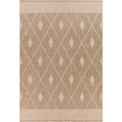 Surya Tuareg TRG-2335 Tan Global  Rug