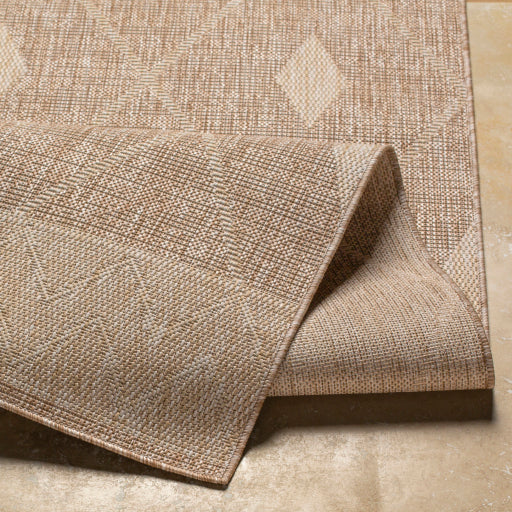 Surya Tuareg TRG-2335 Tan Global  Rug