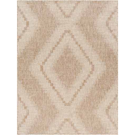 Surya Tuareg TRG-2336 Light Beige Rustic  Rug