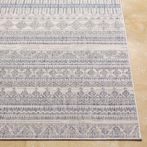 Surya Tuareg TRG-2338 Cream Global  Rug