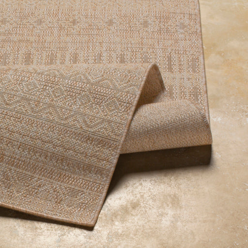 Surya Tuareg TRG-2339 Tan Global  Rug