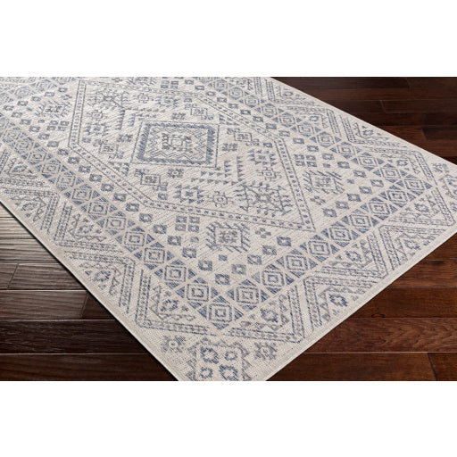 Surya Tuareg TRG-2340 Cream Global  Rug