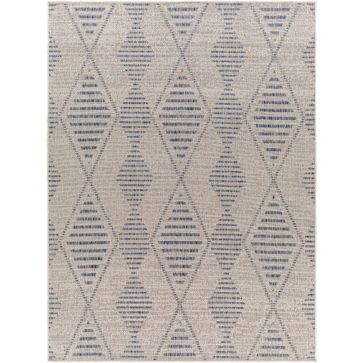 Surya Tuareg TRG-2349 Cream Global  Rug