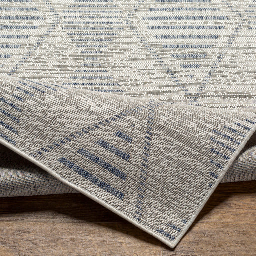 Surya Tuareg TRG-2349 Cream Global  Rug