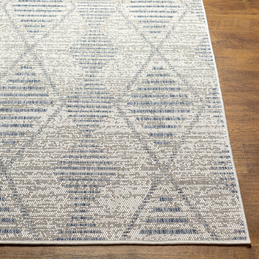 Surya Tuareg TRG-2349 Cream Global  Rug