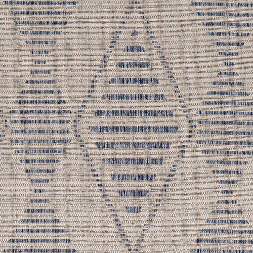 Surya Tuareg TRG-2349 Cream Global  Rug