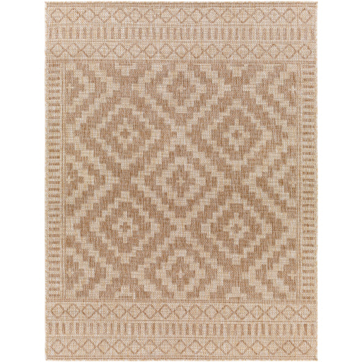 Surya Tuareg TRG-2351 Tan Global  Rug