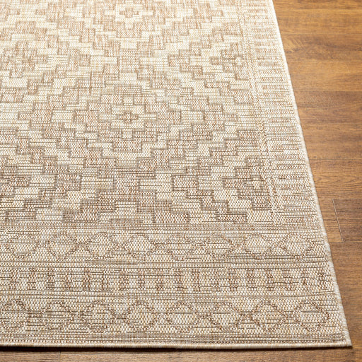 Surya Tuareg TRG-2351 Tan Global  Rug