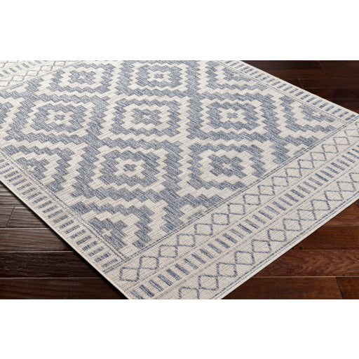 Surya Tuareg TRG-2352 Cream Global  Rug