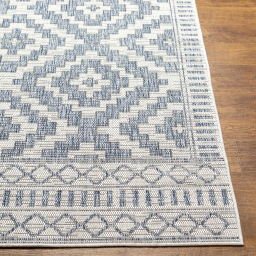 Surya Tuareg TRG-2352 Cream Global  Rug