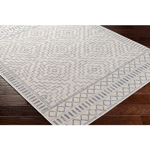 Surya Tuareg TRG-2353 Cream Global  Rug