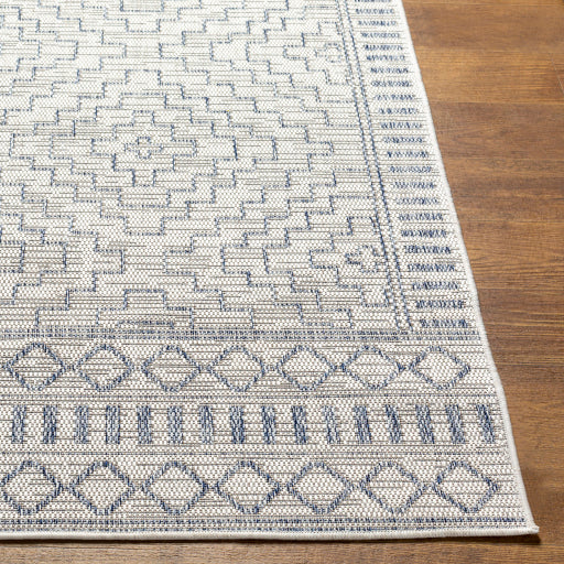 Surya Tuareg TRG-2353 Cream Global  Rug