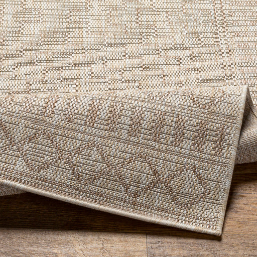 Surya Tuareg TRG-2354 Light Beige Global  Rug