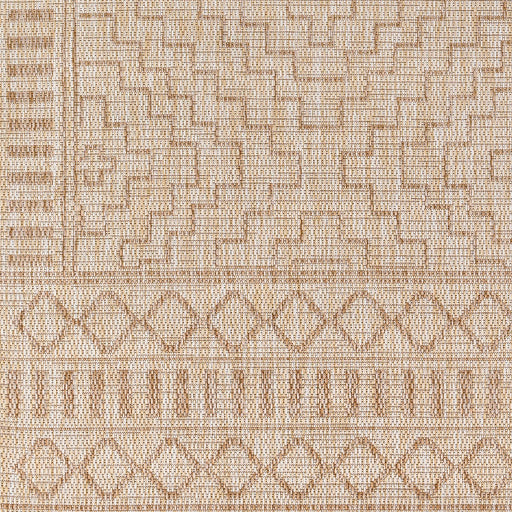 Surya Tuareg TRG-2354 Light Beige Global  Rug