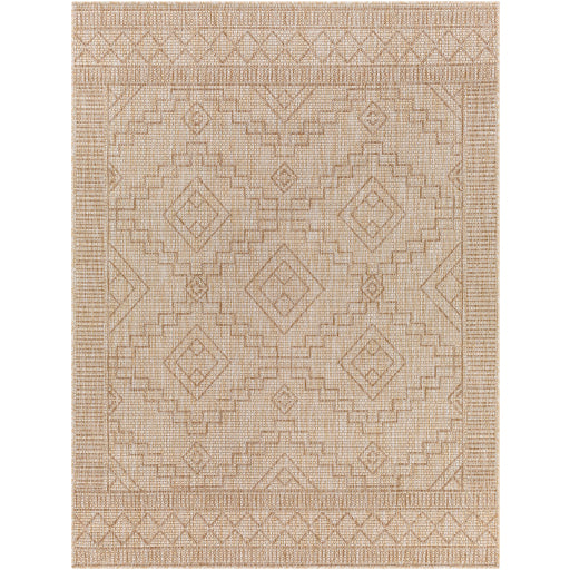 Surya Tuareg TRG-2355 Tan Global  Rug